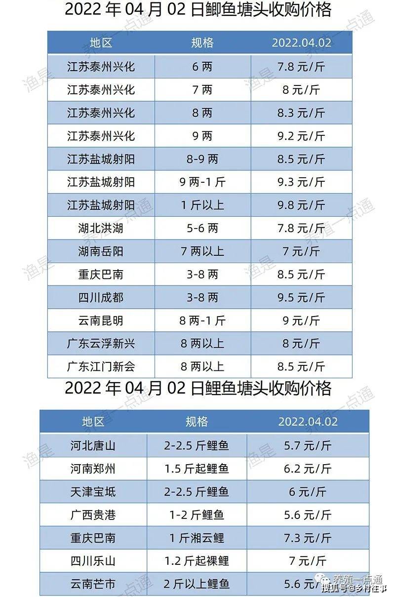 20220402罗非鱼斑点叉尾鮰黄颡鱼加州鲈花鲢鳊鱼塘头收购价