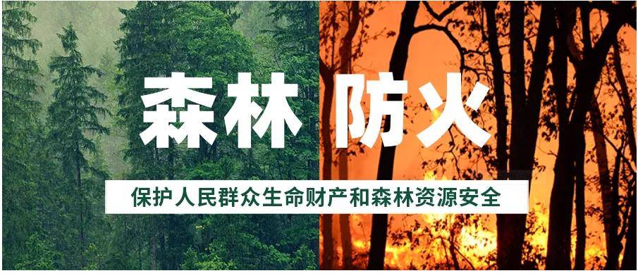 淄博又行环境保护举措,张店发布森林防火禁火令_单位_个人_处罚法