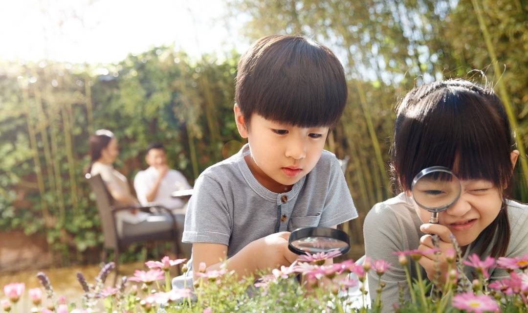 清明节，有娃的家长别忘了带孩子做这6件事，对孩子成长意义重大