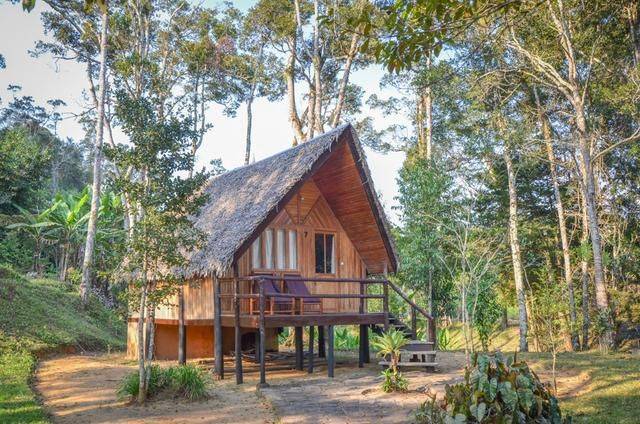 非洲丛林里的野奢度假别墅,这样的小木屋你想来住吗,太美了吧