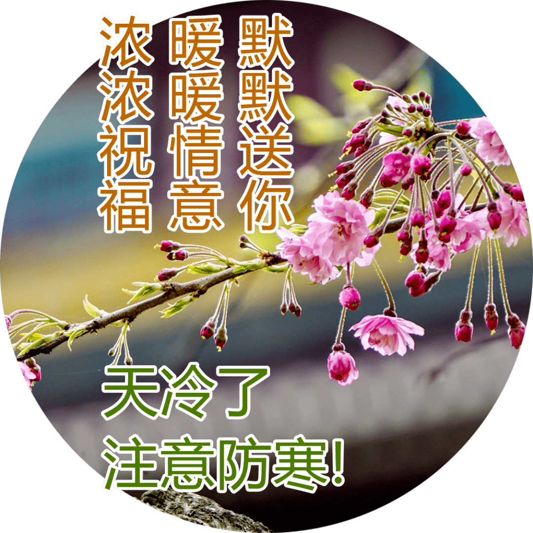 原创送给朋友的祝福图片集锦最真诚的祝福早上好图片送朋友