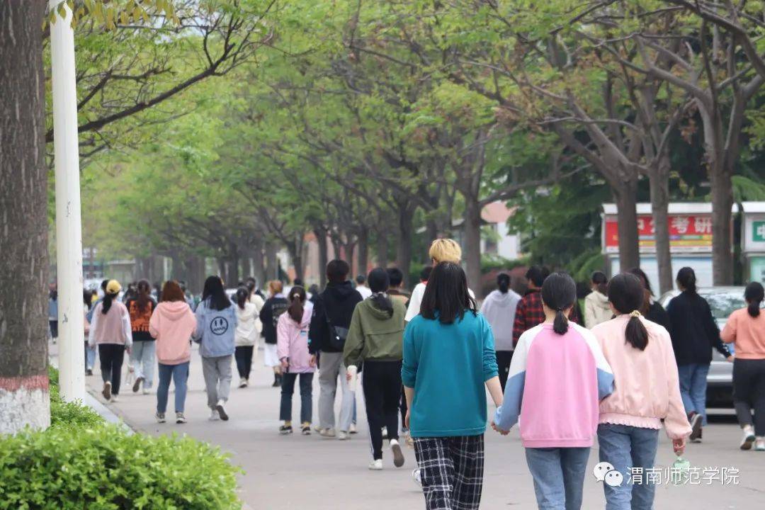 在渭南師範學院,花醉學景寫春天_校園_環境_思維