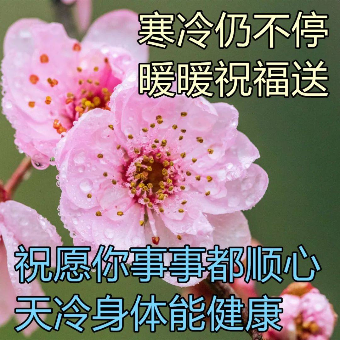 原创送给朋友的祝福图片集锦最真诚的祝福早上好图片送朋友