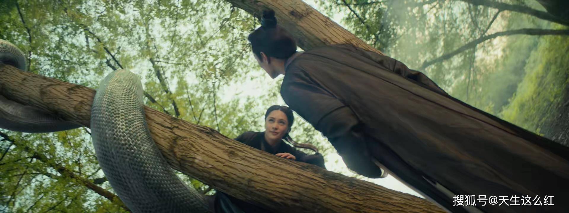 青蛇梦魇，探索潜意识中的警示与未竟的威胁