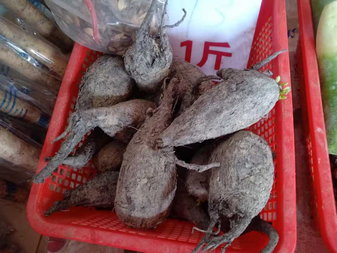 小时候随处可见的地雷花,花和种子有妙用,根用作煲汤价值高_紫茉莉_这