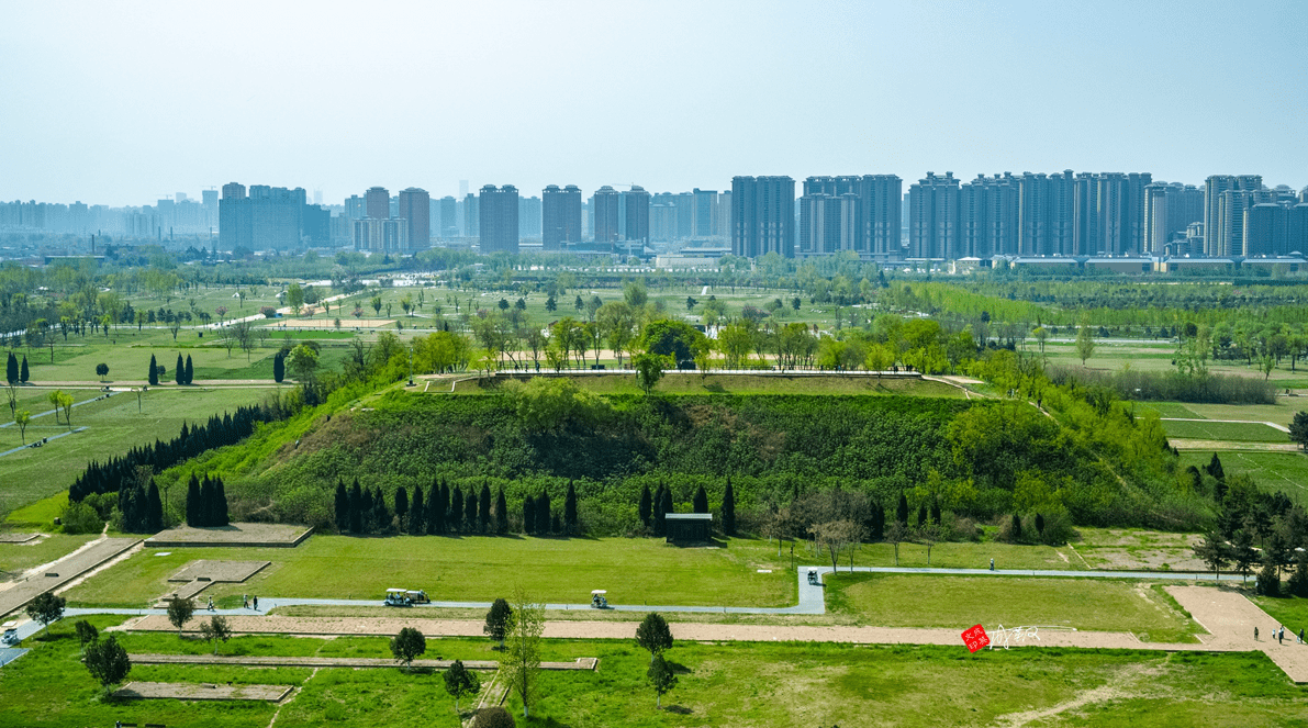 2000年后他的未央宫种满了油菜花_遗址_地方_公园