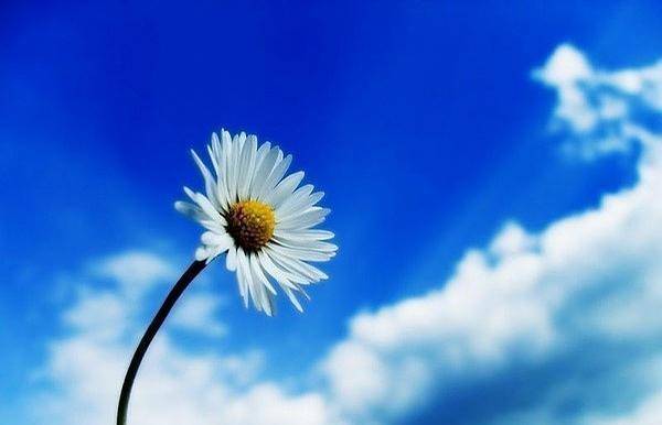 原创25句充满阳光的话简洁唯美令人一见倾心