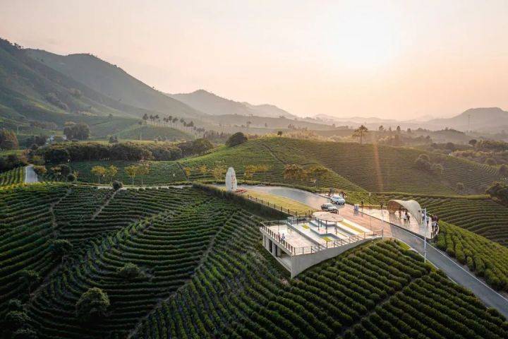 原创梯田景观设计案例needle景观案例分享第四十六期