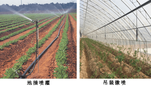 可移动式微喷系统------简易式水肥一体机_大棚_灌溉_作物