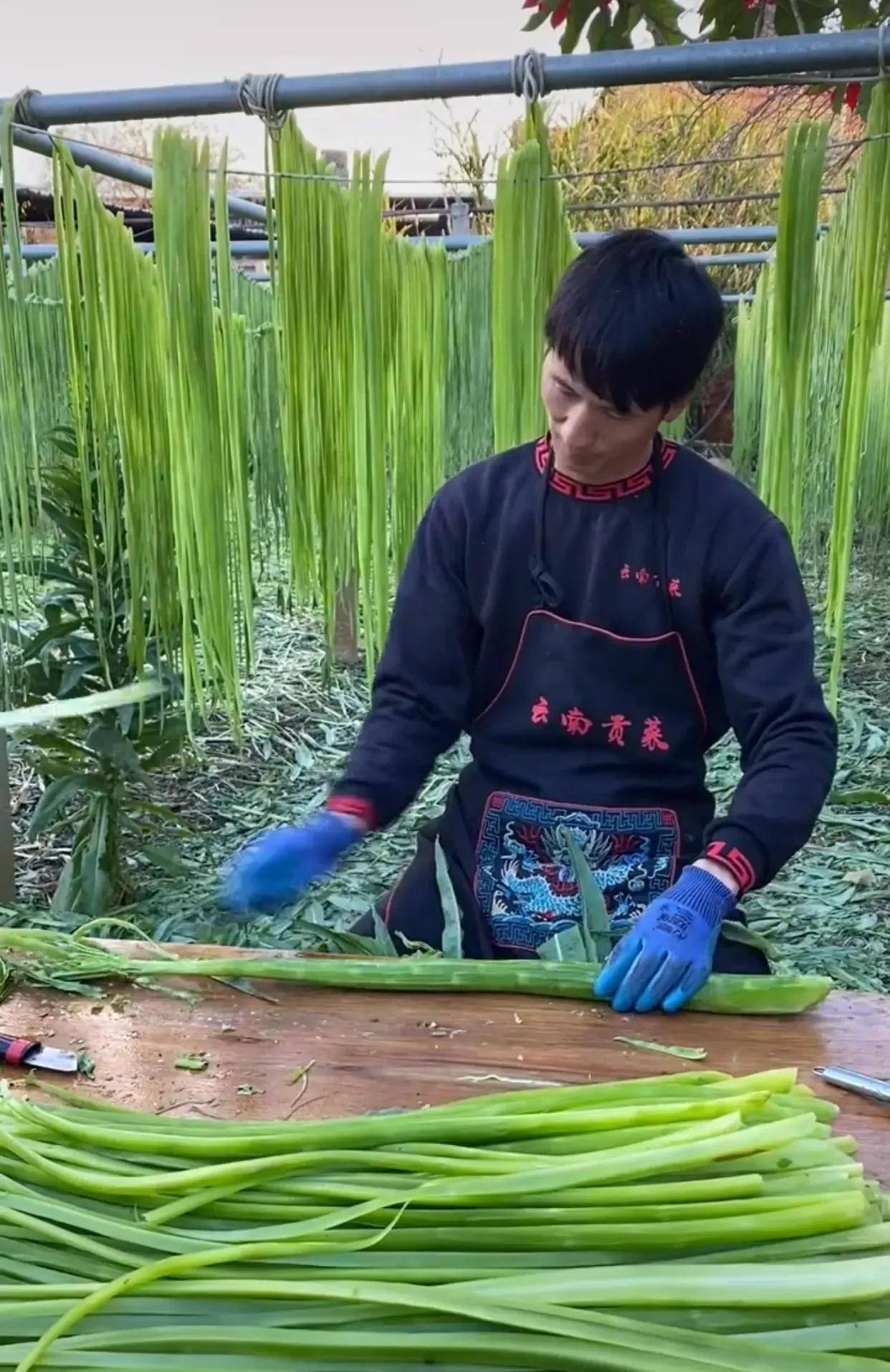 就是萵筍,我認為的貢菜是海里的一種苔菜,兩者曬乾後非常相似,味道