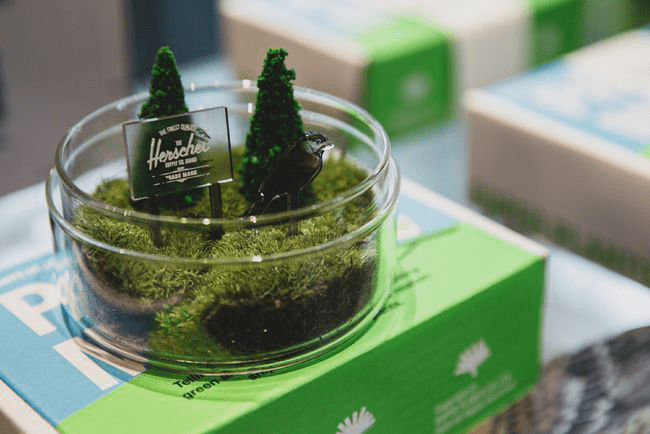 汤臣杰逊ceo刘威:超级植物|圈层套索突围小众市场_-tomson_brand_产品