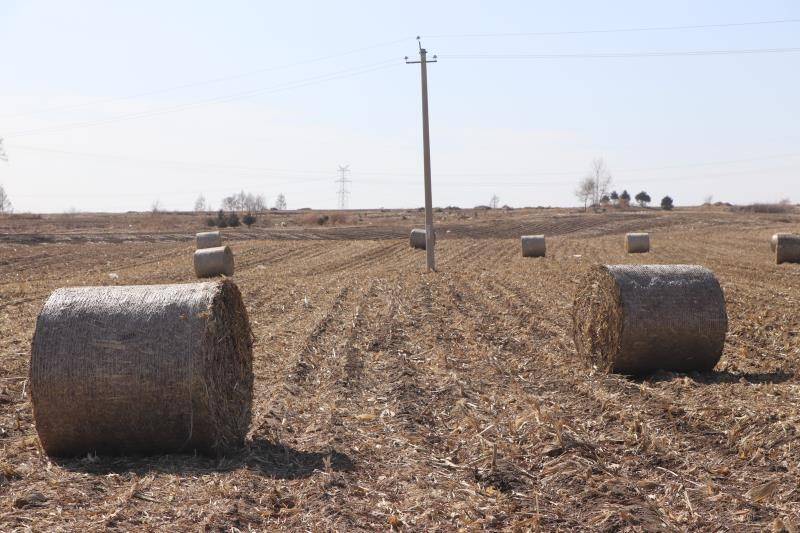 原创确保不误农时梅河口牛心顶镇秸秆离田忙