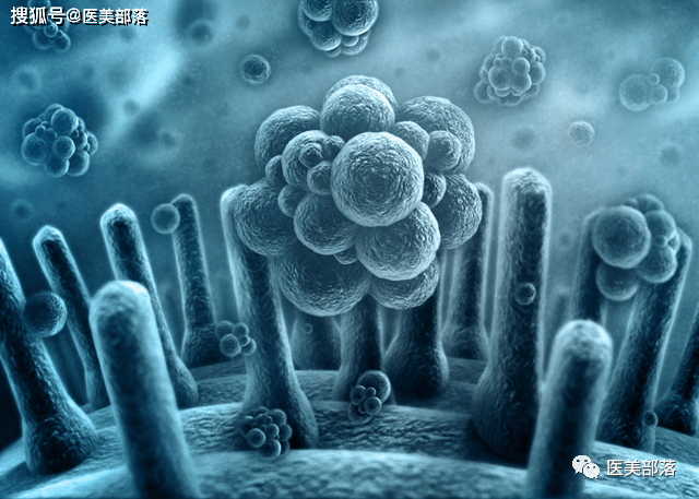科普 | 生命科学:生物体内的
