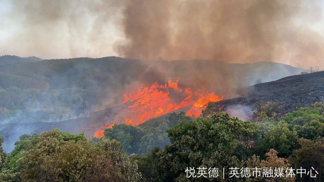 4月4日11时许,马某良等人到清远英德青塘镇黄泥坡山祭拜期间,在燃烧