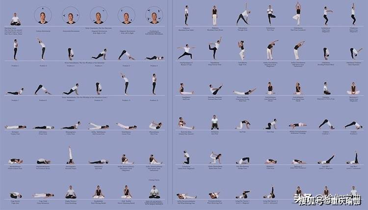 瑜伽每天必练8个动作图片