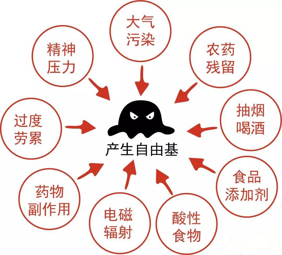 什么是自由基?如何抵抗自由基?