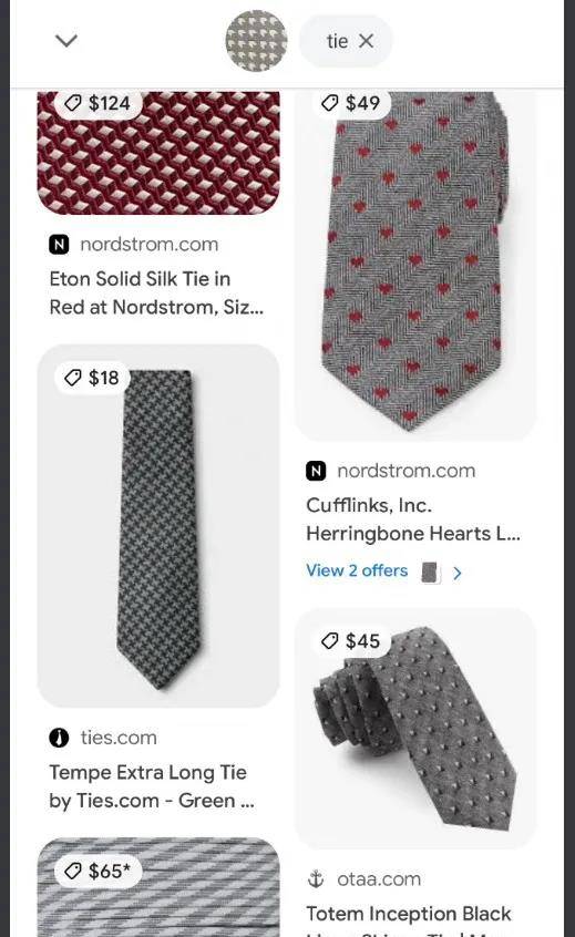 Google现在让你可以搜索难以描述的东西 从图片搭配文字开始 Zeng Wang Lou