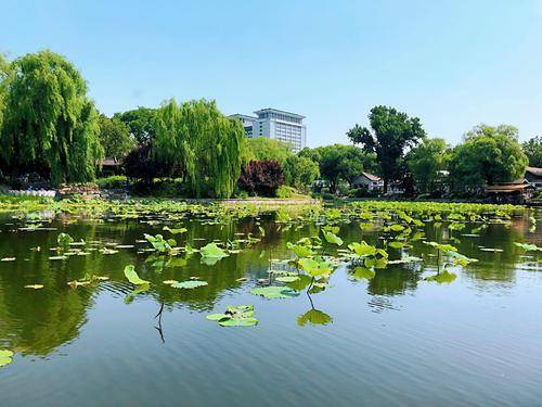 原创北京冷门公园风景美丽环境良好虽是4a却不为人知