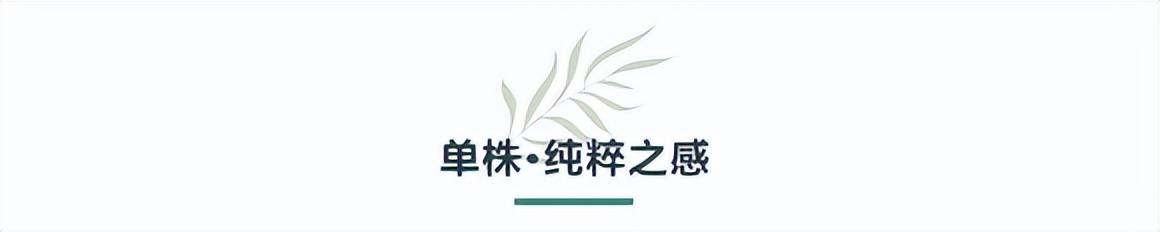 2022·小茶控单株开采日~ 预售开启！