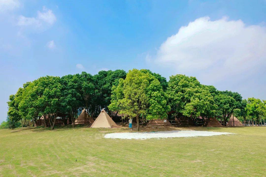 田野森林阳光草坪麓湖水景成都3大房车露营地测评你更喜欢哪一个