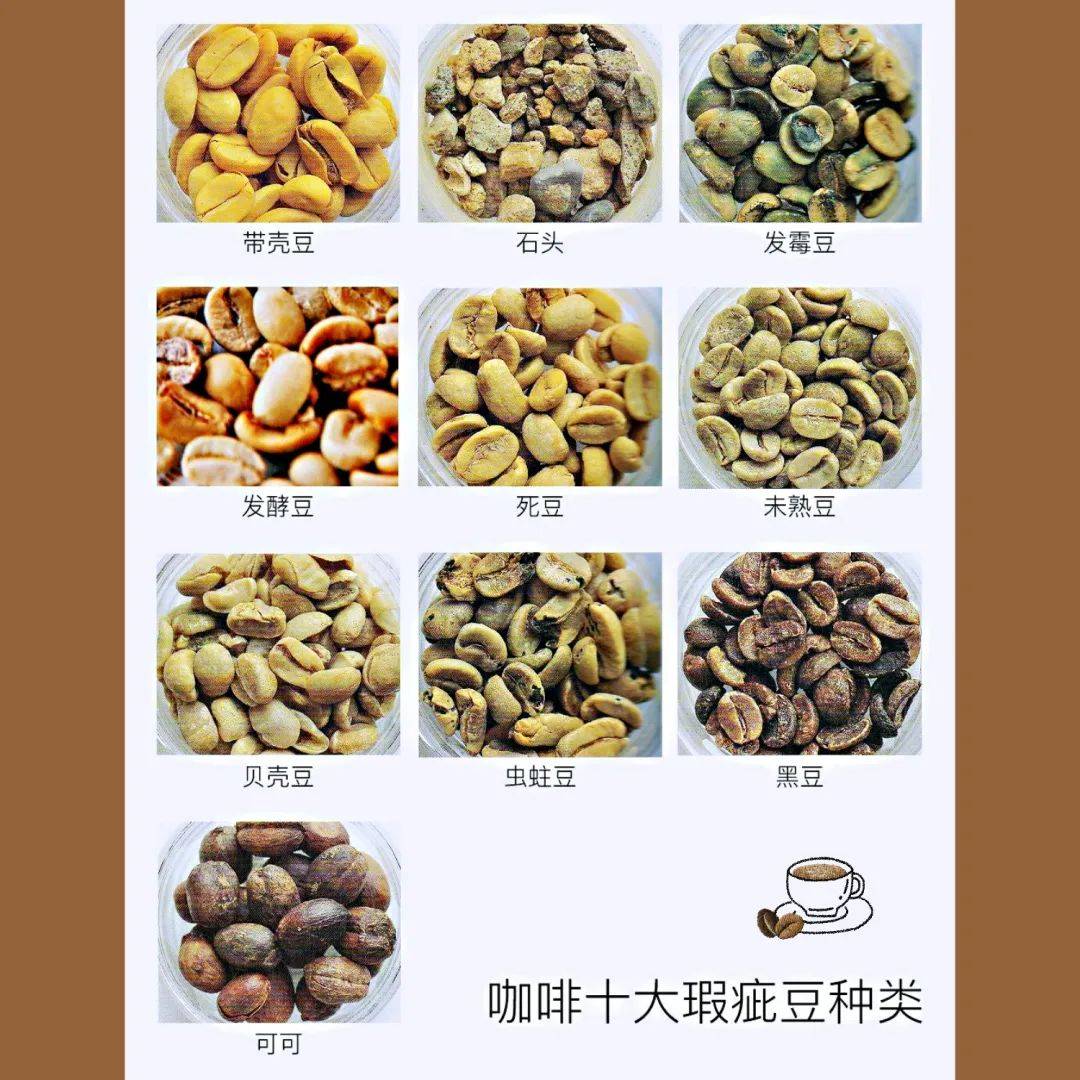 太阳河咖啡知识小课堂丨一次性带你搞懂“咖啡分级”_搜狐网