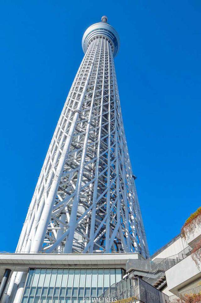 这里是世界第二高塔，景色超美，宛如漫画！