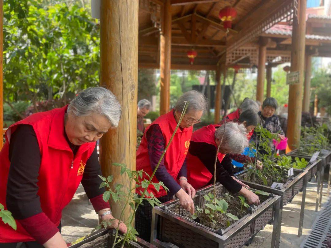 耶养老院里的开心农场