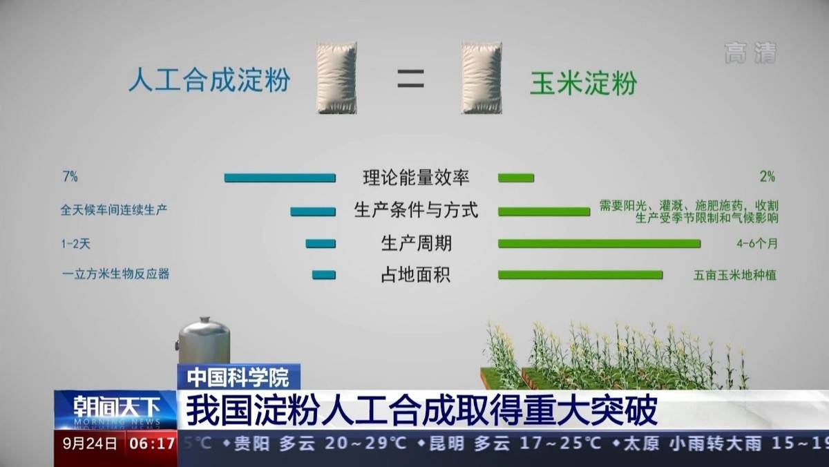 中國或將大改國際糧食權利局勢人工合成澱粉是如何做到的