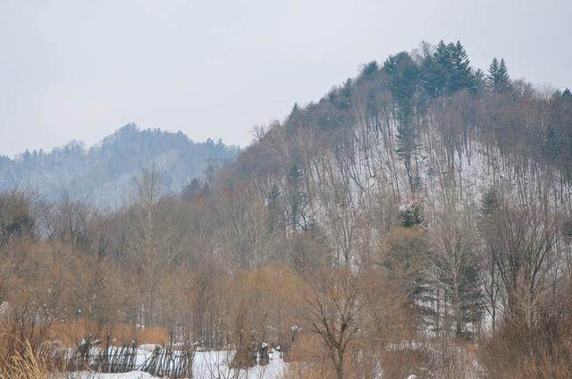 出發東北早已有問名聲大噪的雪鄉殊不知這裡更好玩