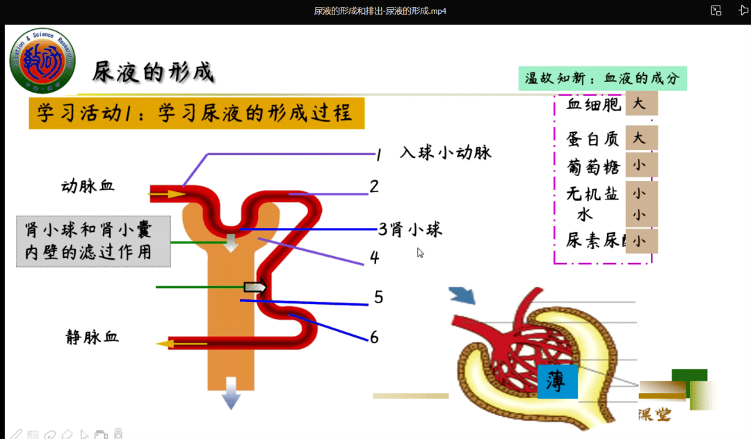 潍坊新纪元学校初中部生物组介绍