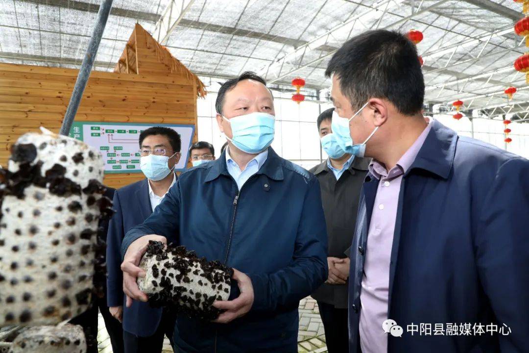 徐广国在中阳县调研黑木耳产业发展