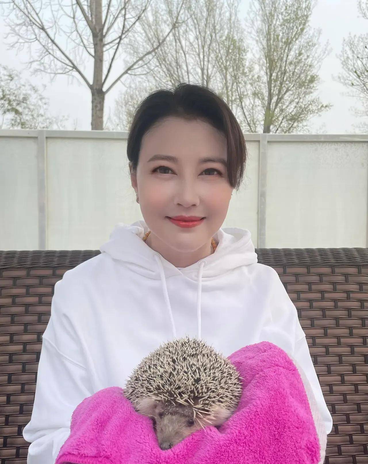 养8只狗1只刺猬种菜烧饭煲汤55岁周海媚独自一人住豪宅很惬意