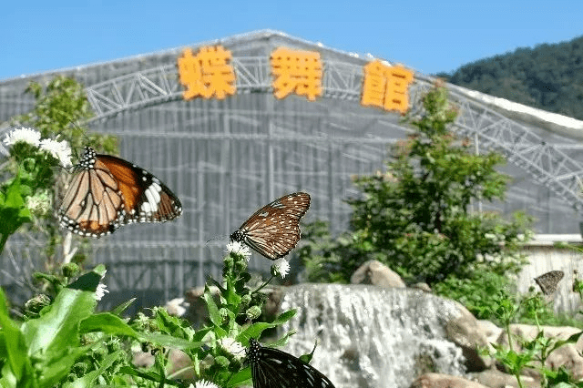 开云 开云体育平台浅谈休闲农场产品的打造要点(图3)