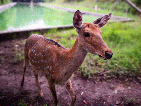 五月浪漫情侣夫妻游携手游大美长寿打卡爱情圣地开启幸福文化之旅