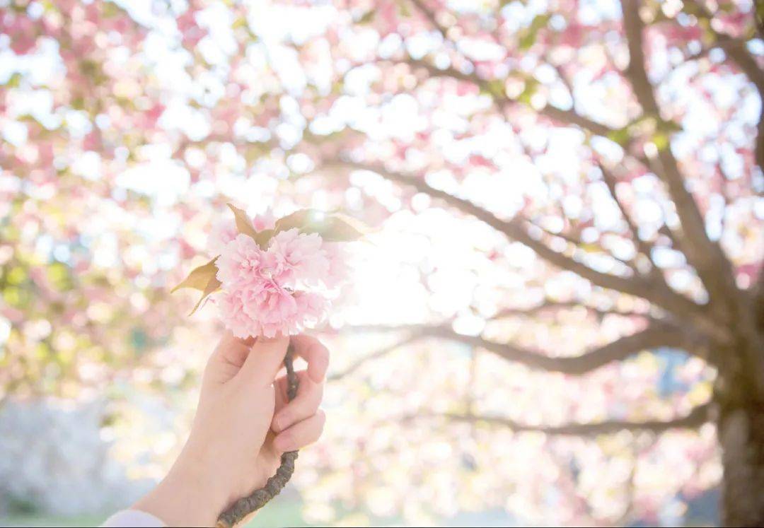 原创当男人不爱了骨子里高贵的女人不仅不会挽回还会带走这几样东西