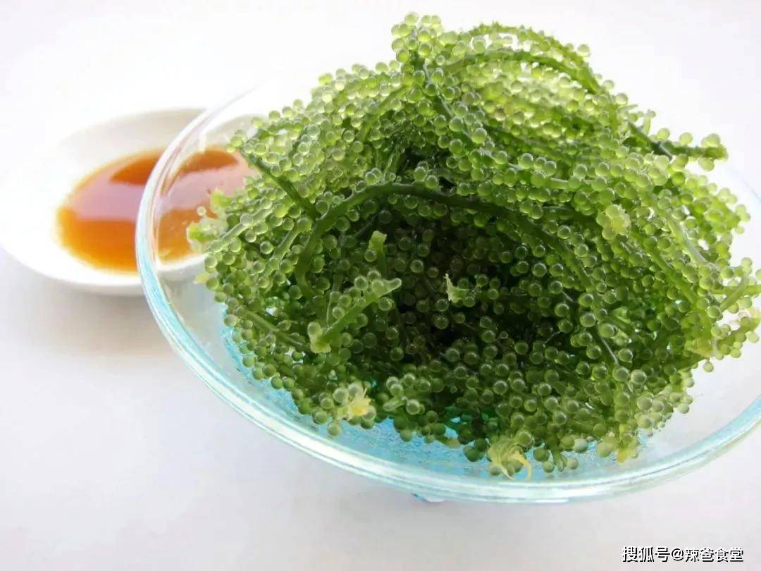海边人常吃的10种海藻,平民的"山珍海味",最后一种泛滥成灾