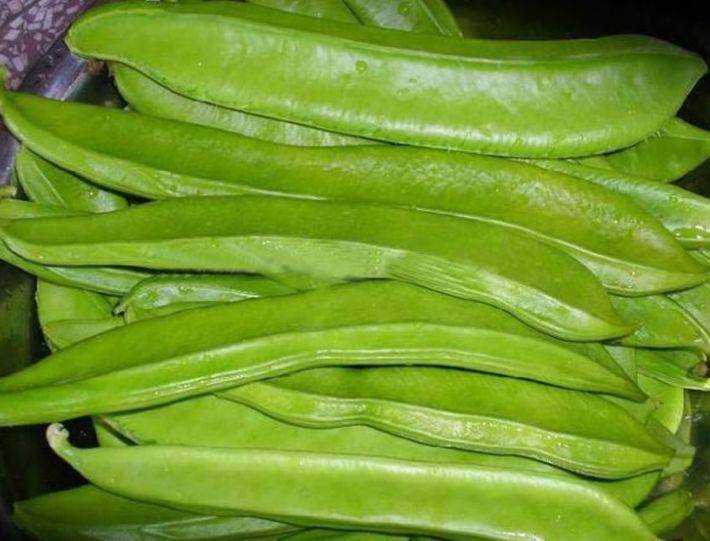 原创俗称刀把豆毒性很强20年前被人用来腌着吃现在却很少见