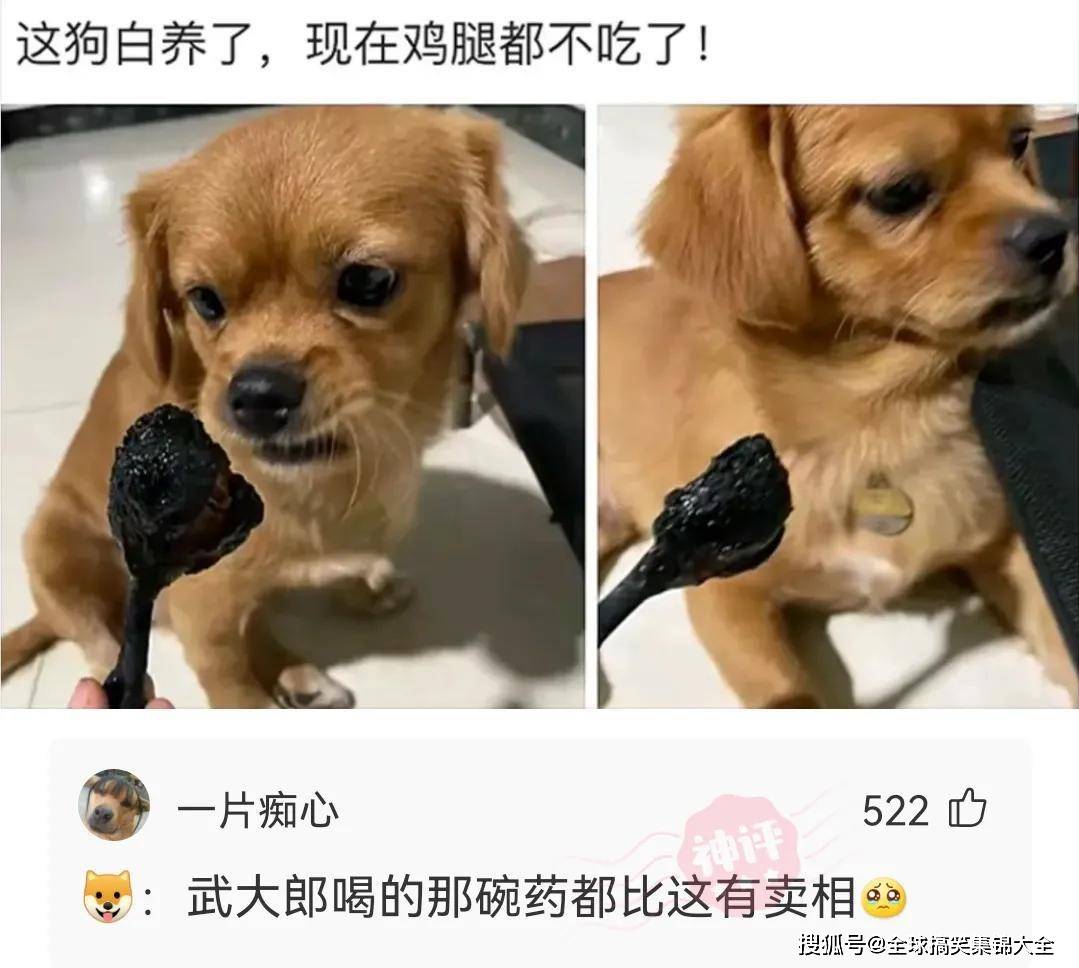 网恋奔现的大型翻车现场大伙笑疯了网友我找个对象容易吗