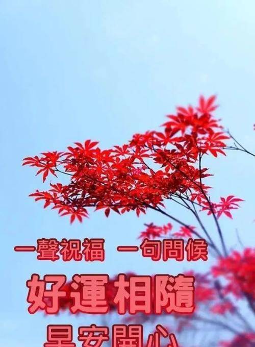 原創清晨早安表情問候祝福圖片帶字群發溫馨的早安祝福語大全