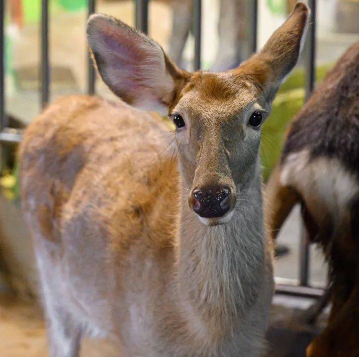 畅玩10000㎡海洋王国6大主题乐园