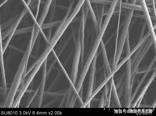 靜電紡絲技術納米纖維膜齊嶽帶您瞭解