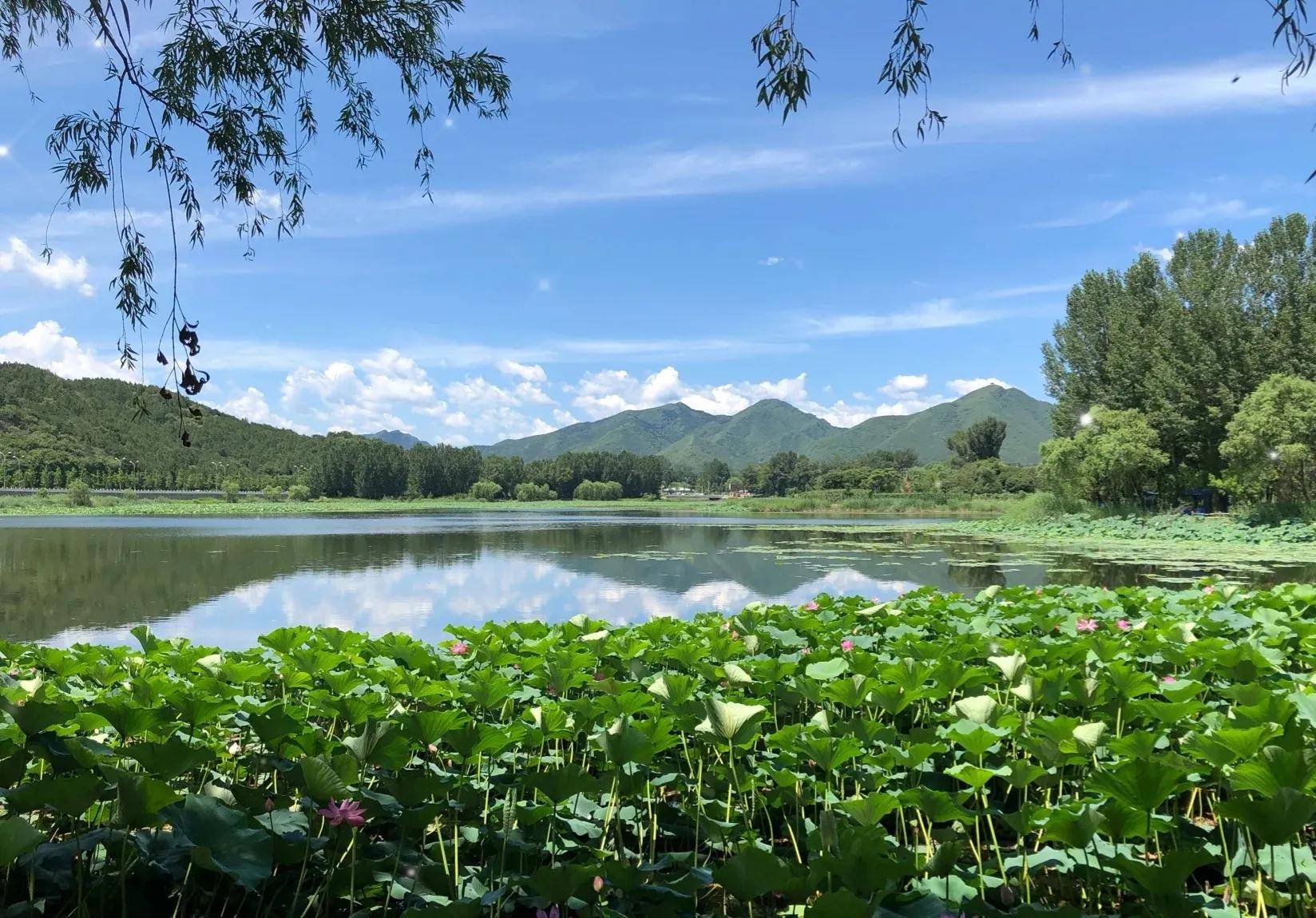 怀柔红螺湖鸟岛门票图片