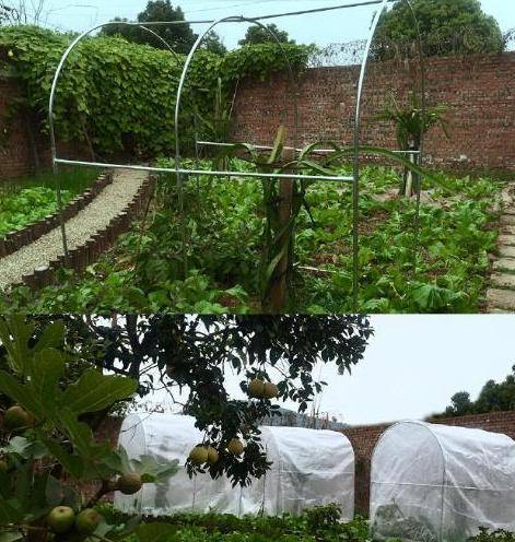 参观李子柒的豪宅,她是最牛网红,用一大片庄园为居所