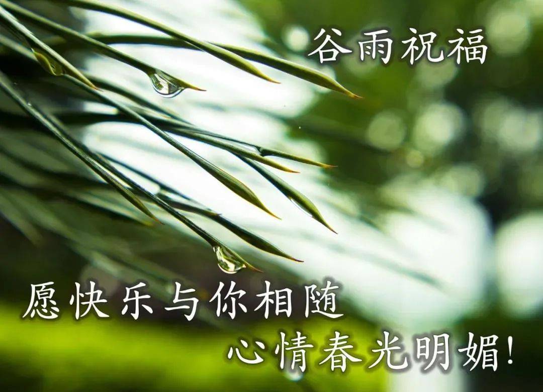 谷雨早安图片图片