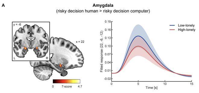 音乐无国界文化有差别孤独和社恐能一样吗