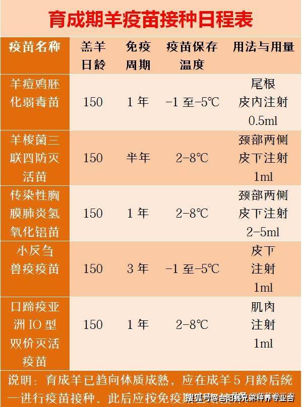 养羊人要的疫苗接种日程表来了羔羊母羊大公羊都有太全了