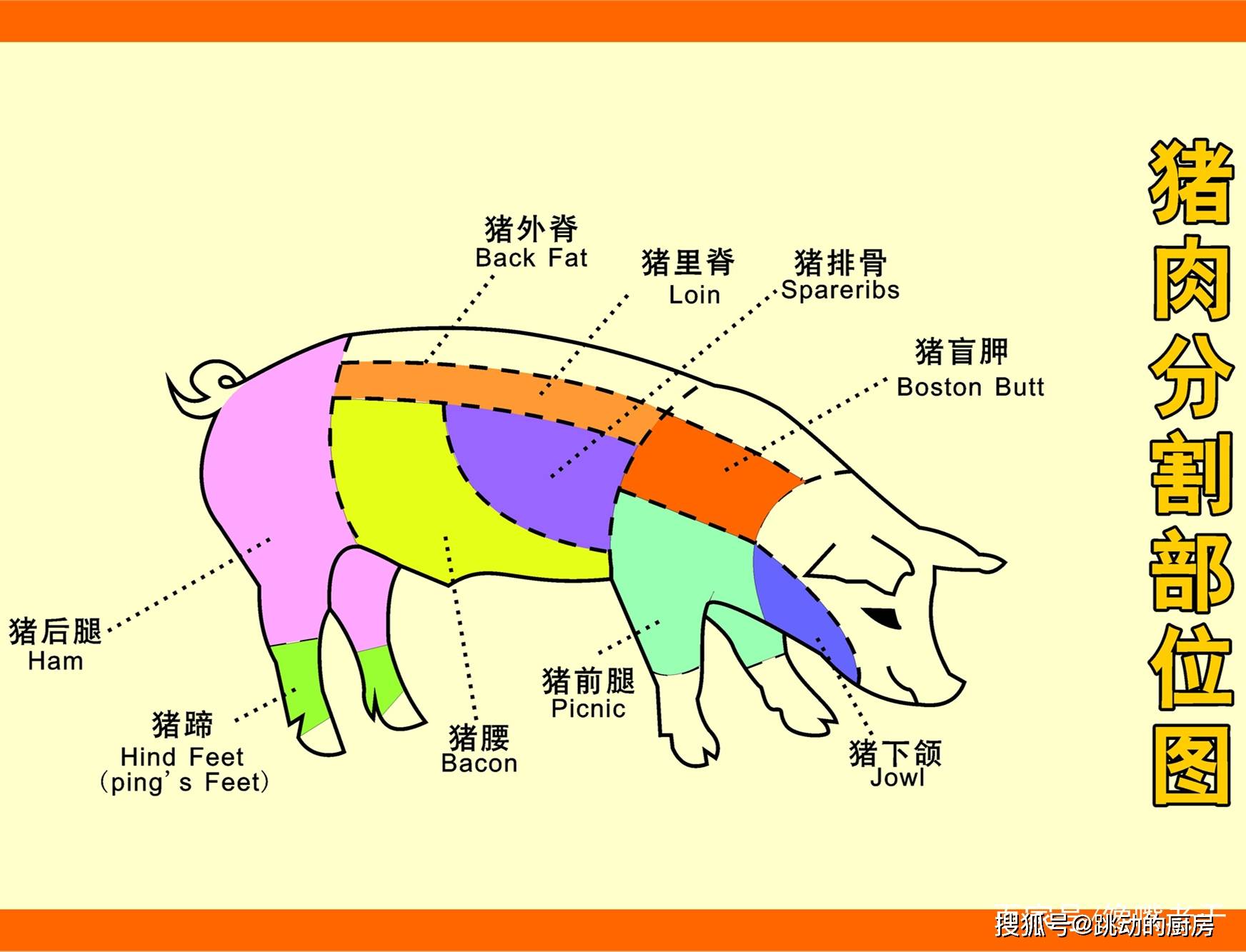 买猪肘子认清前肘和后肘差别挺大弄懂再买心里有底