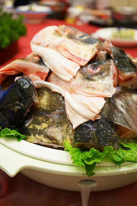原创
            成都美食探店：黑龙滩鱼头火锅，胶原蛋白吃到饱
                
                 