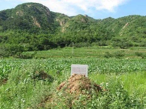 青山風水祖墳對後代影響到底有多大