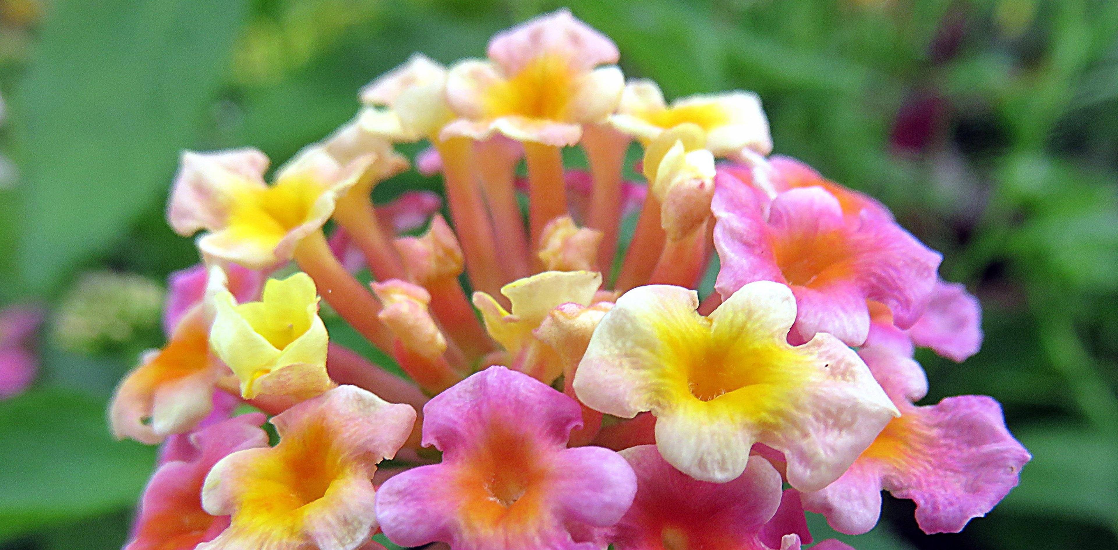 4月22日 28日爱情运势 红娘垂怜 牵手真爱的四大星座 伴侣 单身 惩罚 4月22日 28日爱情运势 红娘垂怜 牵手真爱的四大星座 伴侣 单身 惩罚